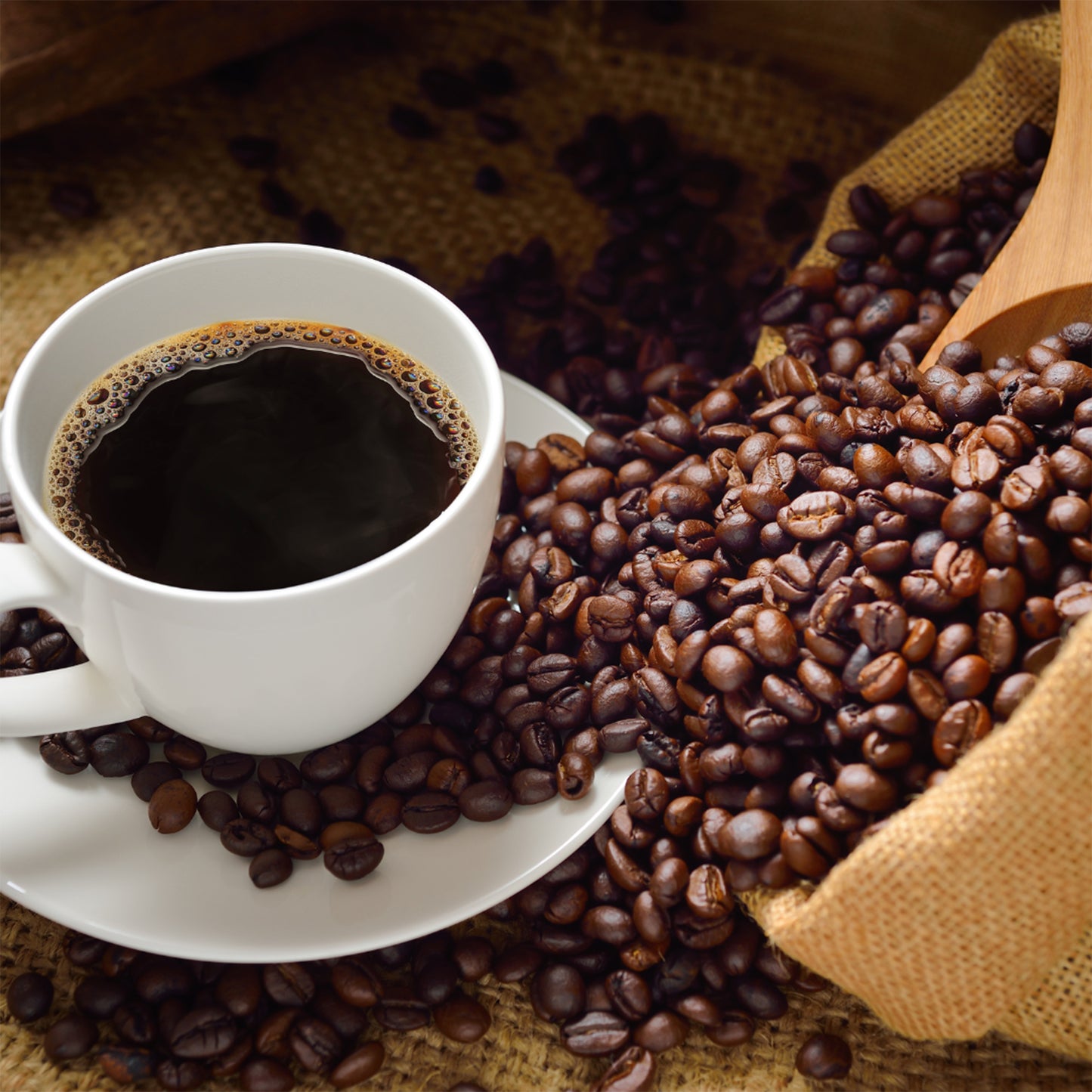 Premium Roasted Yirgacheffe Coffee Beans