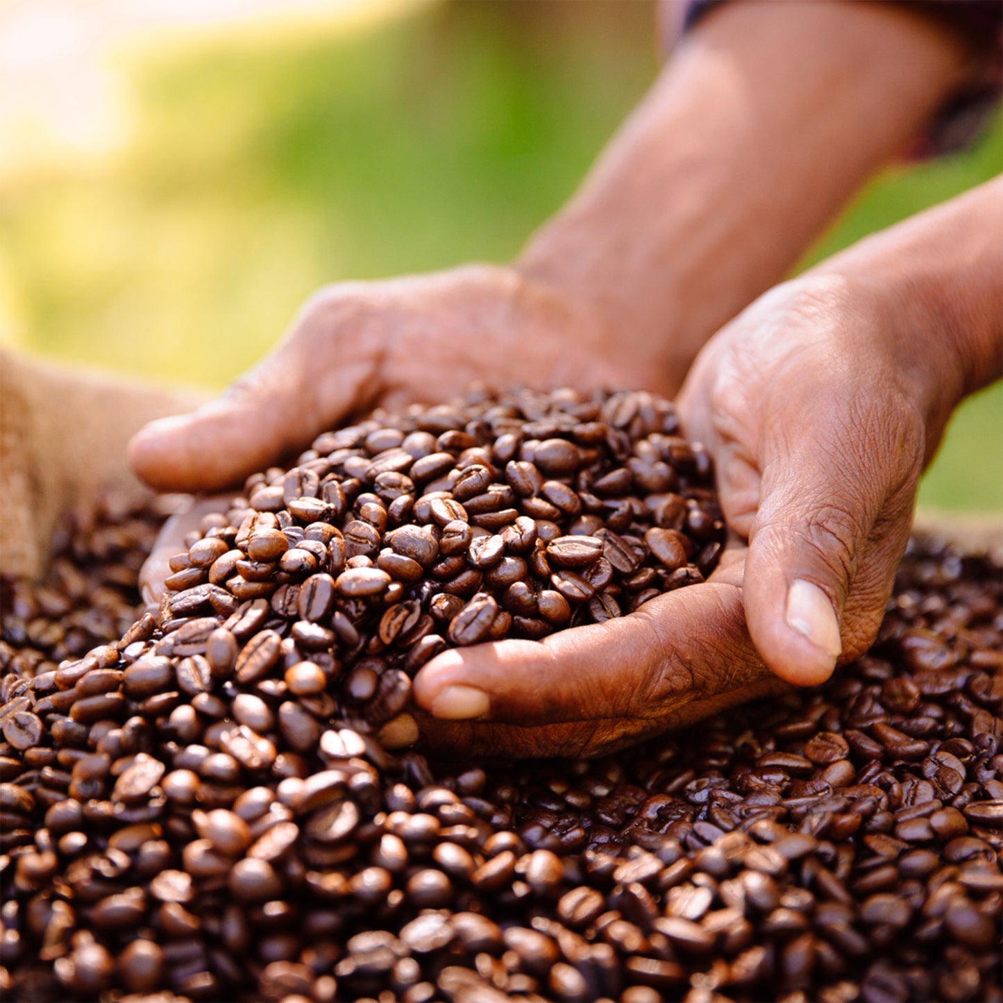 Premium Roasted Yirgacheffe Coffee Beans